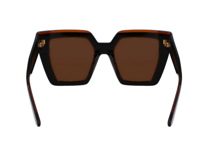 Calvin Klein 太阳镜 CK23502S 002 黑色 褐色 — 第 3/4 张图片