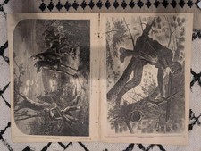 Harper’s Weekly, November 15, 1862 – Winslow Homer “Sharpshooter on Picket Duty,