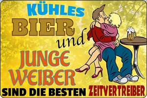 Blechschild Kuhles Bier Junge Weiber Metallschild Wanddeko 20x30 Tin Sign Ebay