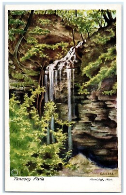 c1940 Tannery Falls River Lake Cliff Munising Michigan Vintage Antique Postcard