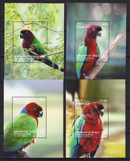 Tonga 2023 Neue Ausgabe 4 Blocks MNH Vögel Papageien Birds Parrots