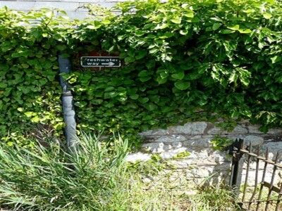 Foto 6x4 Süßwasserweg Afton\/SZ3486 Die Fußwege auf der Isle of Wight um 2009