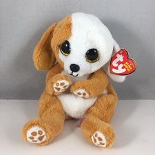 New 2022 TY Beanie Baby Beanie Bellies - RUGGLES the Dog 6 inch NEW MWMTs