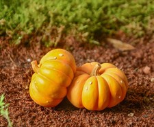 Miniature Giant Pumpkin Duo Figure , Halloween Fairy Garden Seasonal Home Decor