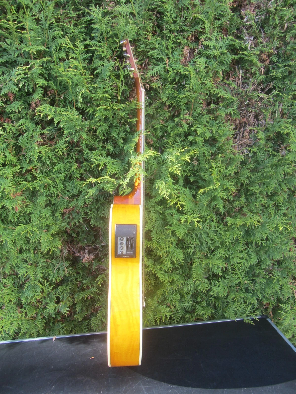Picture 8 of 10