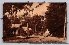 Seabright Avenue ~ Rare Antique Santa Cruz County California Postcard ~1910s