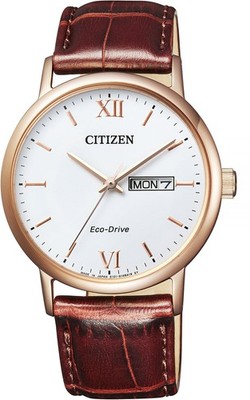 CITIZEN BM9012-02A Collection Eco-Drive Men s Wristwatch