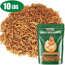 10LBS Dried Mealworms for chickens - Chicken Treats Duck Feed Organic Meal Worms