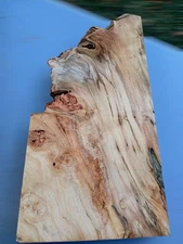 XL Spalted AMBROSIA Maple Burl wood Blank, STABILIZING/EPOXY WOOD, Turning WOOD 
