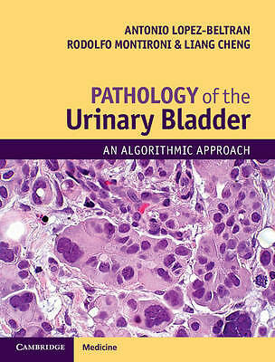 Pathology of the Urinary Bladder An Algorithmic Approach Lopez-Beltran Montironi