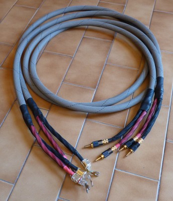 monster m1 speaker cable