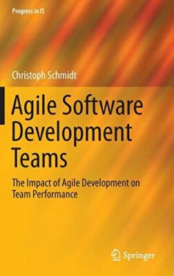 Agile Software Development Teams (Progress in IS) (Hardcover)