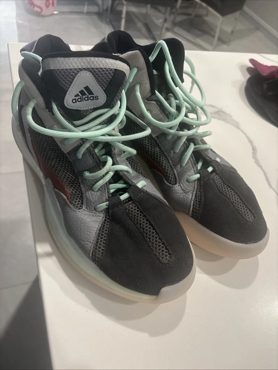 adidas Posterize Carbon for Sale | Authenticity Guaranteed  display picture 1
