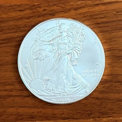 2008 "American Silver Eagle" Uncirculated 1 Oz .999 Fine Silver Bullion BU! 🔰