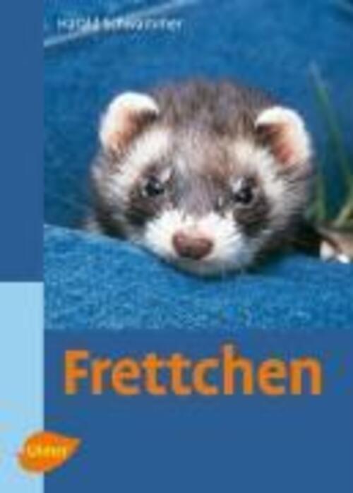 Thumbnail - Frettchen Harald Schwammer Buch 96 S. Deutsch 2008 Ulmer Eugen Verlag
