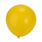 Bild 9 von 9