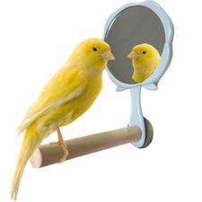 Bird Mirror with Perch - Easy Cage Install Ideal for Parakeets Cockatiels Con...