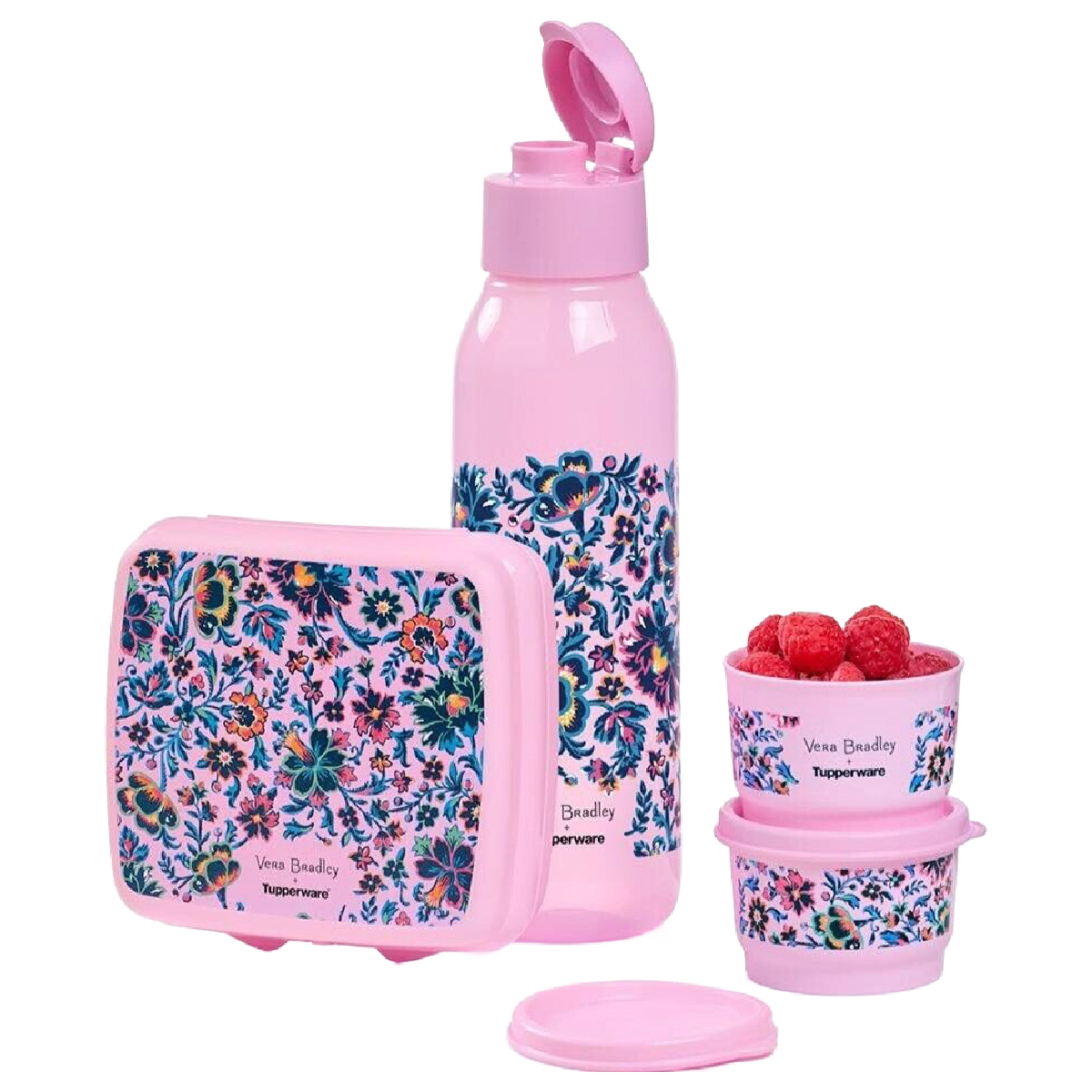 Tupperware Vera Bradley CLOUD VINE 4pc Set Bottle Snack Cups