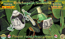 Shiny/Non-shiny Poltchageist/Sinistcha 6IV Pok mon Scarlet/Violet Legal