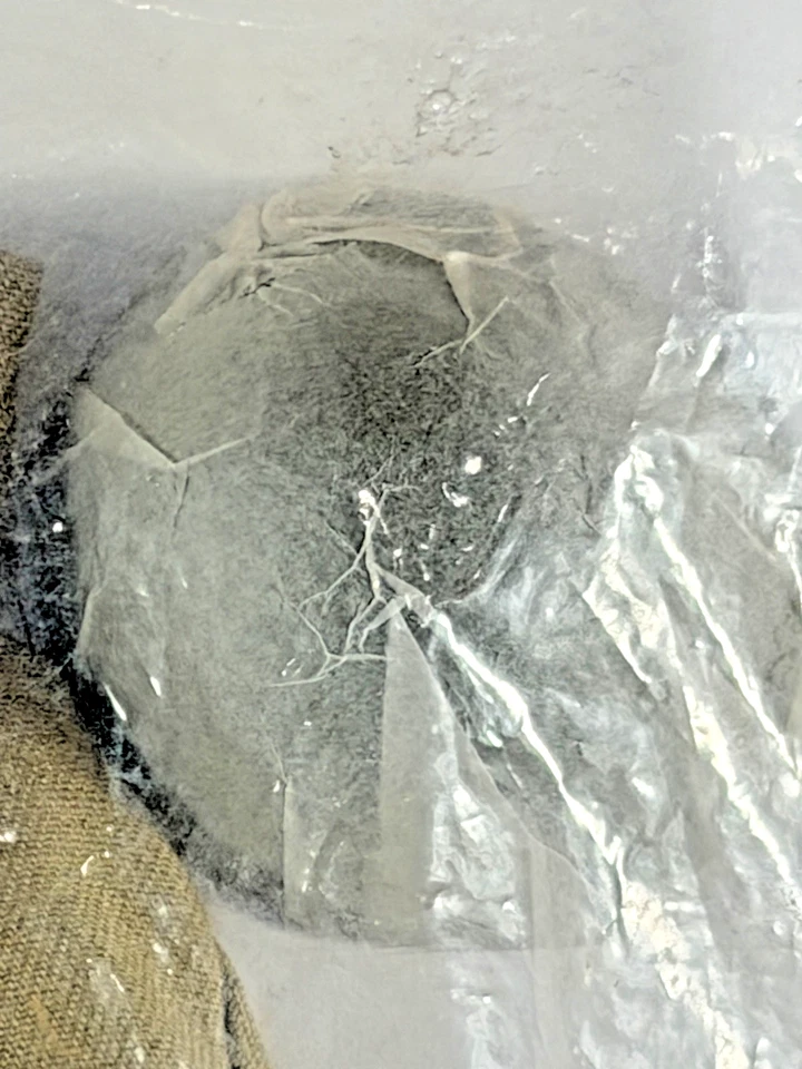 GI JOE PATIO TRASERO PATRULLA SOLDADO IMPERIAL JAPONÉS PAQUETE ORIGINAL DE COLECCIÓN SIN USAR, EN PAQUETE Foto 2 de 4