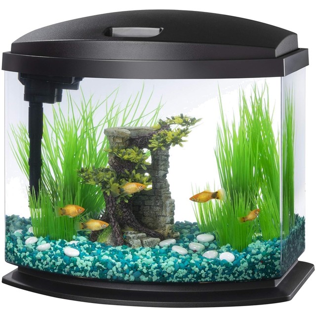 Small Aquarium Starter Kit with SmartClean