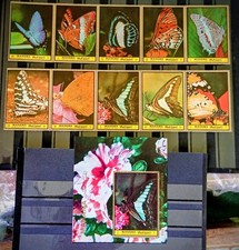 Manama 1972 Butterflies 2 sets and S/S MNH
