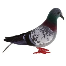 Animal model, pigeon model, artificial feather figurine,