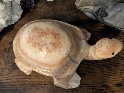 754g  Say Hello to Chris P. Bacon, Natural Meat Bacon Stone Carving Turtle