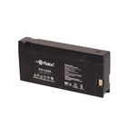 Raion Power 12V 2Ah Camcorder Battery For Panasonic OmniMovie VHS HQ AFX6