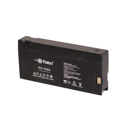Raion Power 12V 2Ah Camcorder Battery For Panasonic