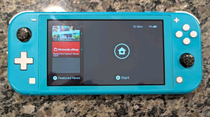 Blue Switch Lite | eBay