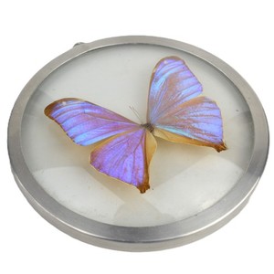 Butterflies Vintage | eBay