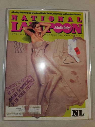 National Lampoon (February 1982 to August 1993) 19 Straight Issues, Full Lot Set - Picture 18 of 20