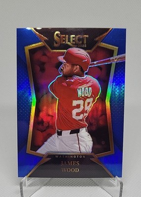 2025 Panini Select - Select Throwback James Wood #19 Blue Prizm /49 