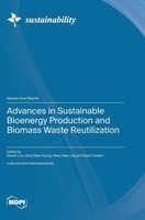 Advances In Sustainable Bioenergy Production And Biomass Waste Reutilization