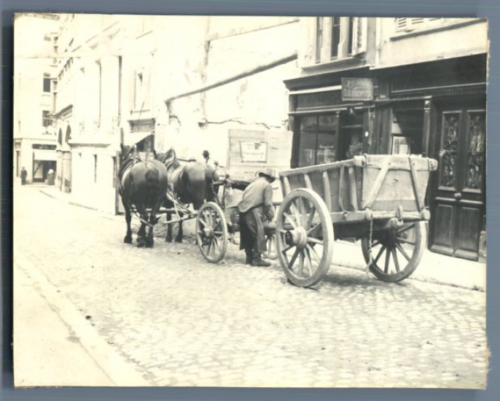 France, Rouen, Attelage avec chevaux  Vintage silver print. Tirage argentique  - Foto 1 di 1