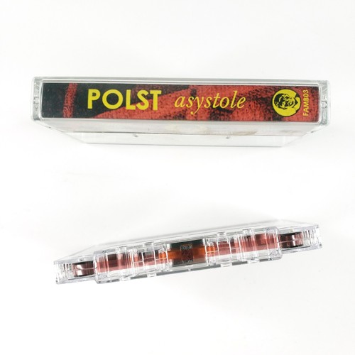 Polst Asystole Cassette Tape - 2020 Portland Oregon Hardcore Noise Punk - Picture 3 of 4