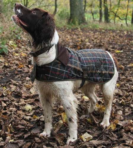 Barbour Waterproof Tartan Dog Coat in 