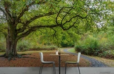 3D Park Tree Road Self-adhesive Removeable Wallpaper Wall Mural1