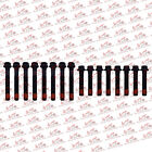 <!--F#f_0-->Cylinder Head Bolt Set for Holden Commodore VS VT VX VY 3.8L Ecotec V6<!--F/-->