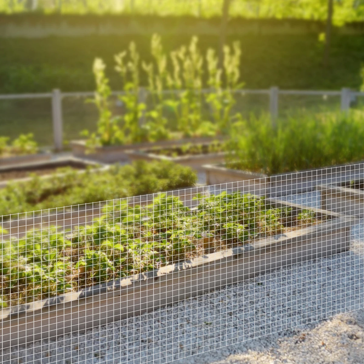 Simple 2024 wire fence