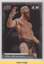 2022 Upper Deck AEW All Elite Wrestling Silver Foil Stu Grayson #30 READ 0k5w