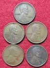 1915 P & D Lincoln Wheat 1c Cent Lot Of 5 Coins VG and XF