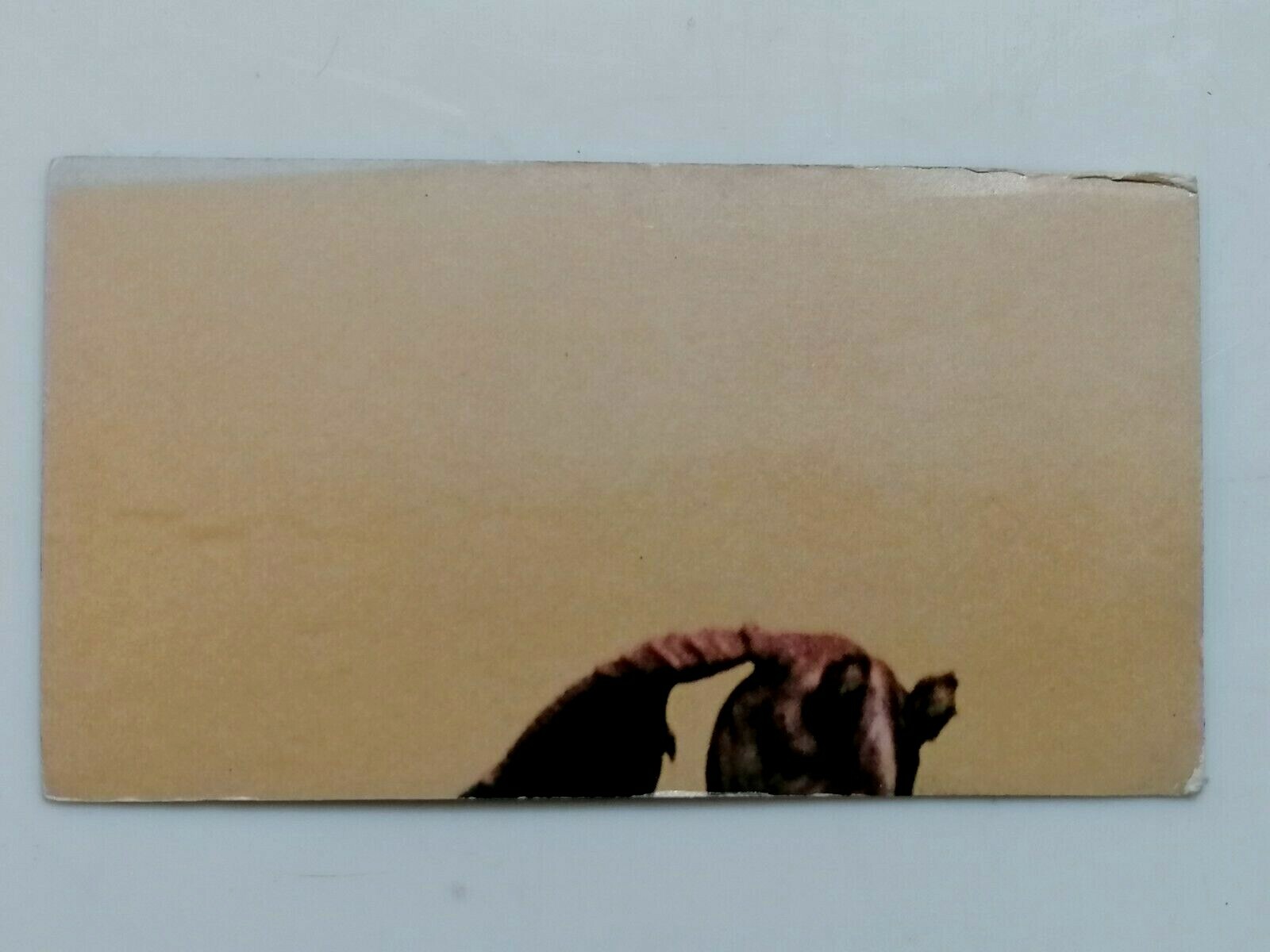 Star Wars Episode I Pepsi Card #92 CHECKLIST 8 TCG Mexico 1999 Lucasfilm - Picture 2 of 2