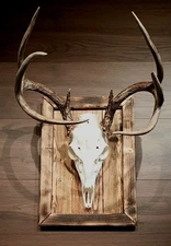 Rustic European Mount Plaque w/Hanger