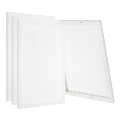 Stretched Canvas, 6 Pcs 24'' x 12'' Rectangle Canvas for Painting, White