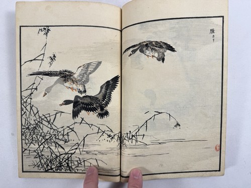 Japanese Woodblock Print Book “Bairei Hyakucho Gafu” Vol.① Kono Bairei Bird 1881 - Imagen 17 de 24