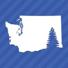 Washington Evergreen Tree WA State Outline Vinyl Decal Sticker