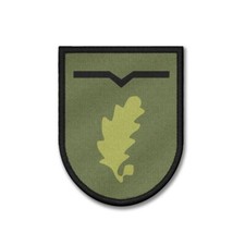 Patch Jägerregiment 1 Tarn Wappen JgRgt Abzeichen Bw #42279
