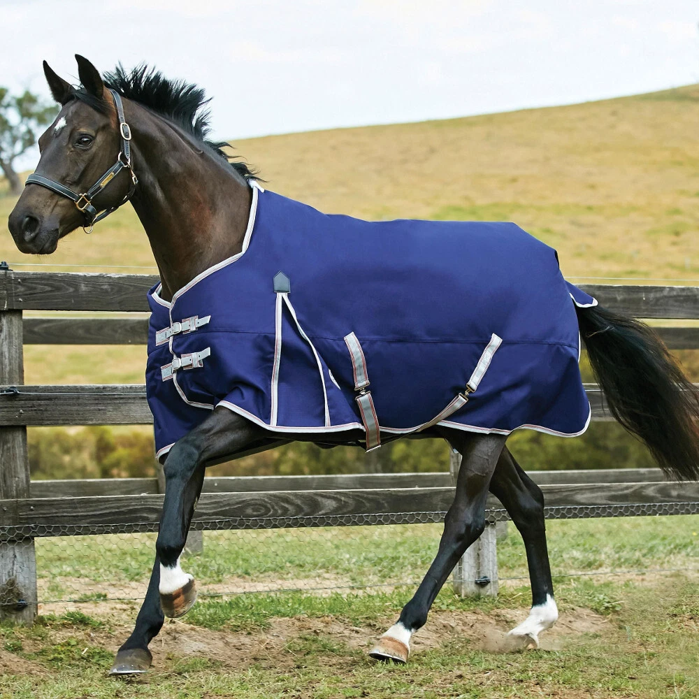 Cravate d'exposition Supreme Products - GS Equestrian